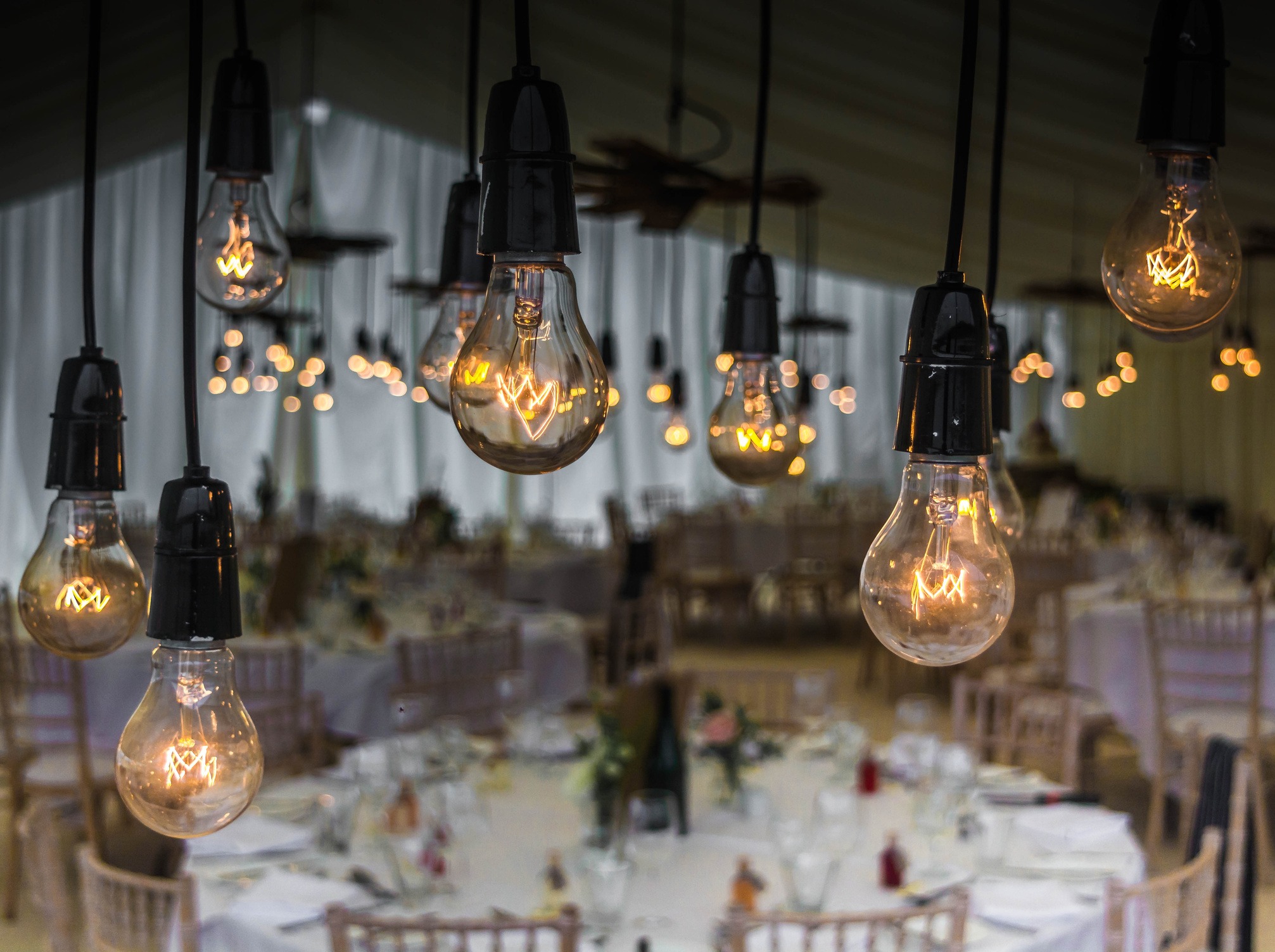 Decorative Light Bulbs at a Wedding Party